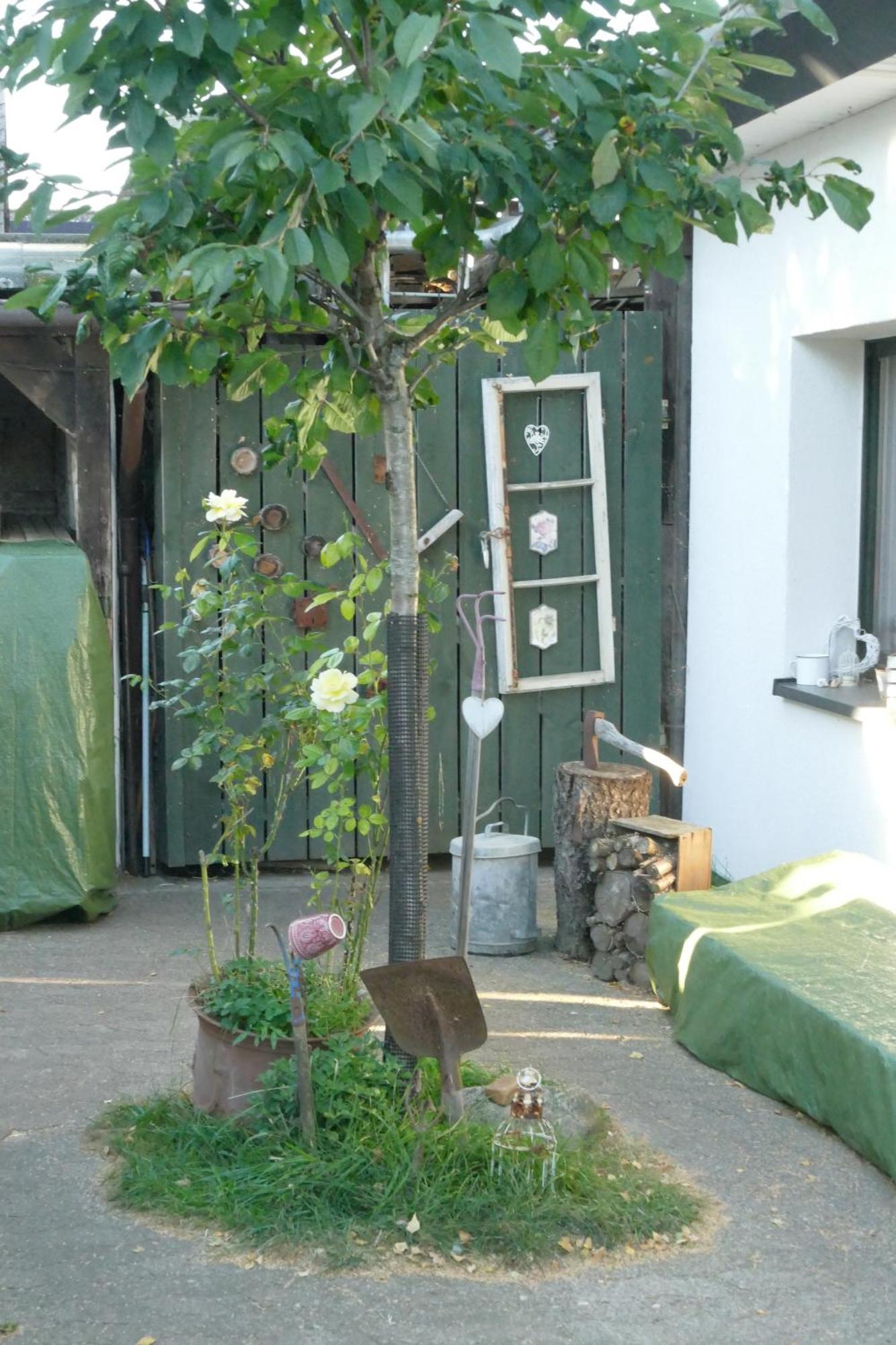 Ferienhaus Mit Minibauernhof Munster im Heidekreis Exteriér fotografie
